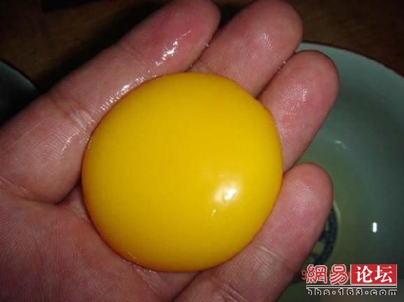 种鸡蛋孵化全过程 20120120083136632.jpg