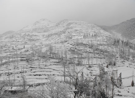 场坝—冬景(情系锅厂-镇雄论坛-手机镇雄之窗