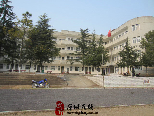 应城 杨岭初级中学