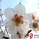 �컨���һ�����