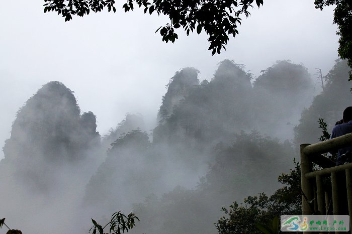 南传佛教第一寺雾中山_大邑旅游景点_城市中国搜索