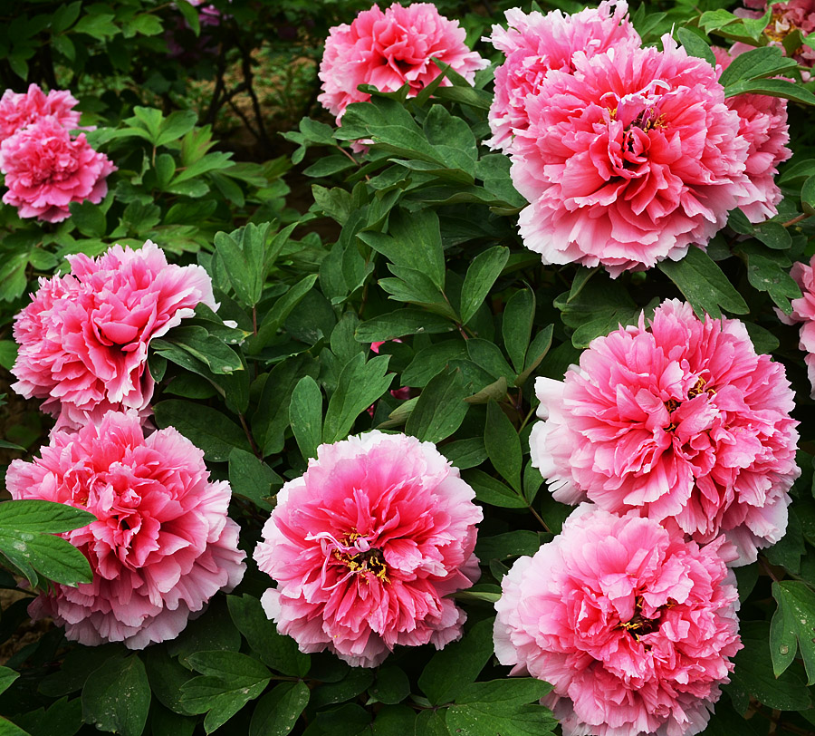 20120423082141652.jpg