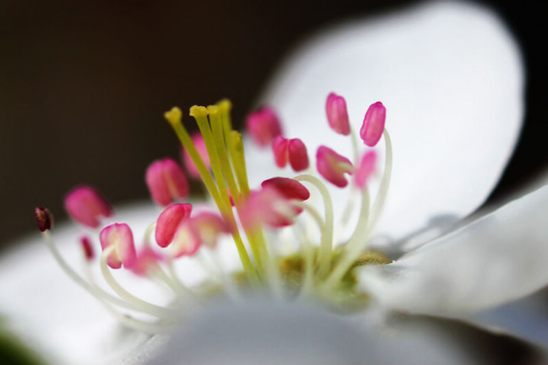 20120424093347746.jpg