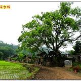 大杂烩