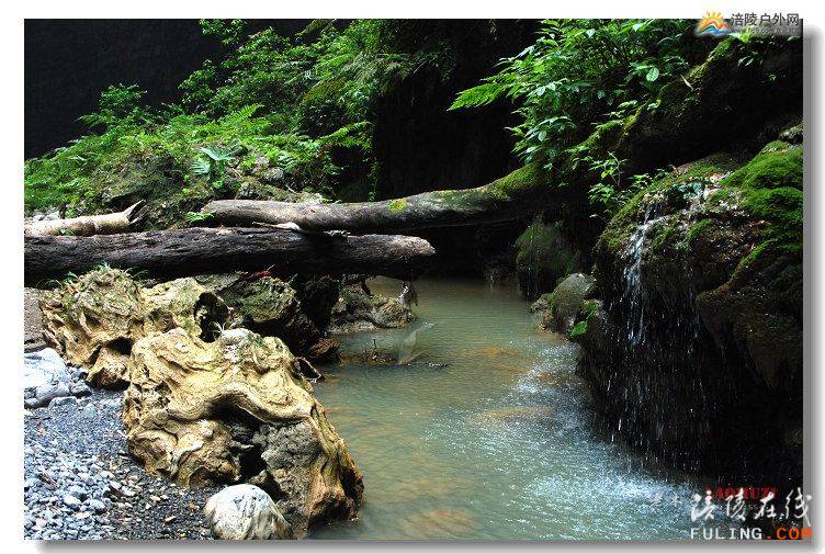 8月4日<em>仙女山</em>许巍<em>演唱会</em>-绝世美景<em>武隆</em>黄金峡