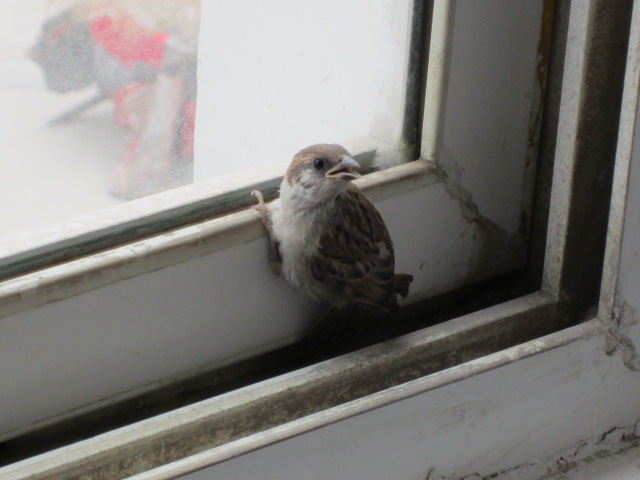 20120522140232779.jpg
