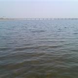 野鸭湖