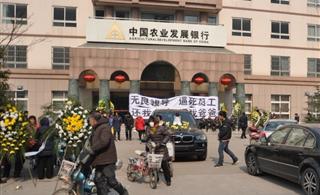 领导逼死员工-员工自杀-中国农业发展银行