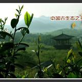 长兴风采