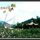 长兴风采