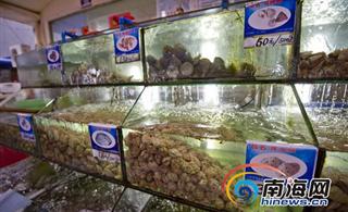 三亚海鲜排档生意冷落称受