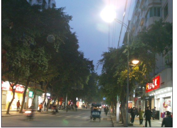 亲爱的 你是否听见后北街的鸟叫声_图看三台_