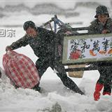 把爱带回家