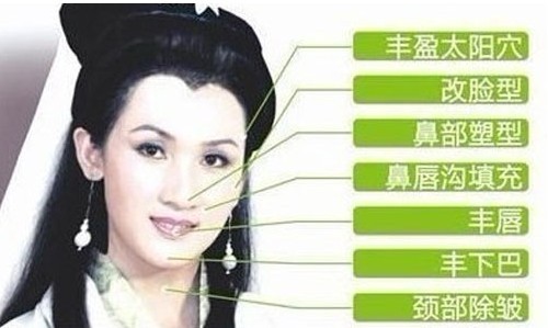 张磊演员_张磊的反串艺人