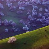 �½�����Ұ�ӻ���������������