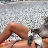 Ů�˷��������Ҫ��