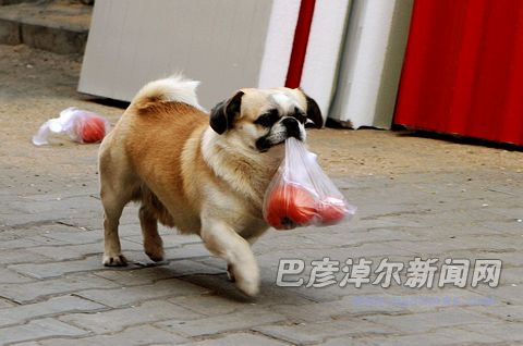 201232511063784.jpg