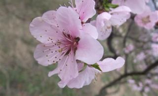 �һ��������ĵ�