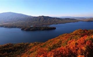 �峣���