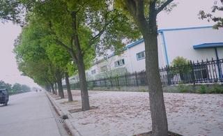���ſڵķ羰�������Ƕ����ÿ�����