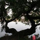 �ڶ����Ŵ����