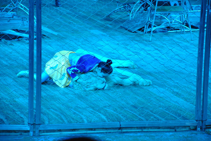 美女亲吻野兽 有图有真相