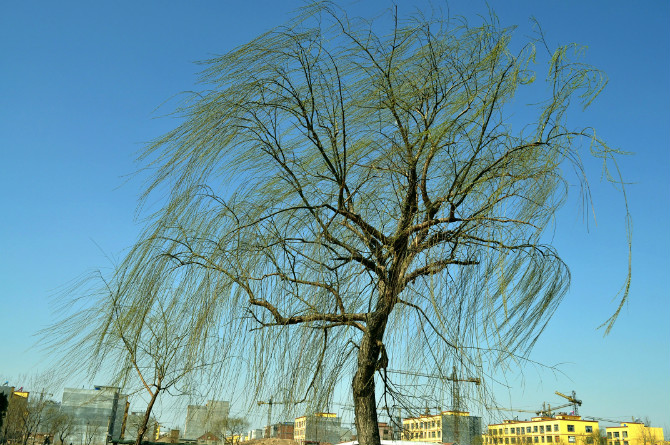 201241819373947.jpg