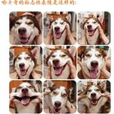 ��ʿ����ô���,��ô�ܺ������Ტ��