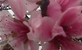 �һ�����˼������
