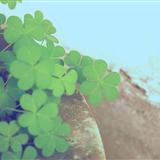 ˽�Ϥ��ʤ���˼��