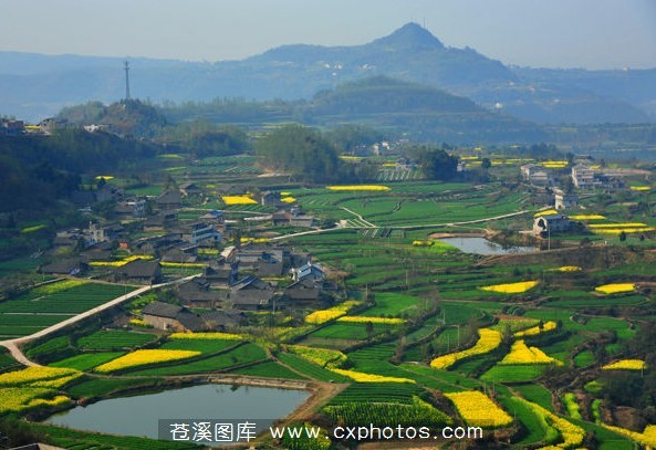 主题: 苍溪县云峰镇风光[复制链接]