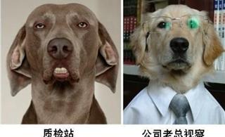 ———建筑施工人员表情图,絕版!~