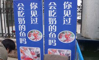 ��ӵ�һ�ҡ������㡱�����տ��������ڶ��β��н�