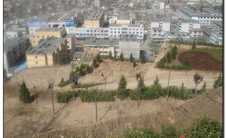 秦安吧,秦安贴吧_秦安论坛_第2页