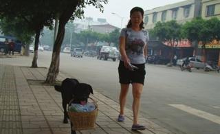 小狗惹人爱主人买菜叼着菜篮跟着逛