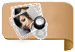 ɹͼ��