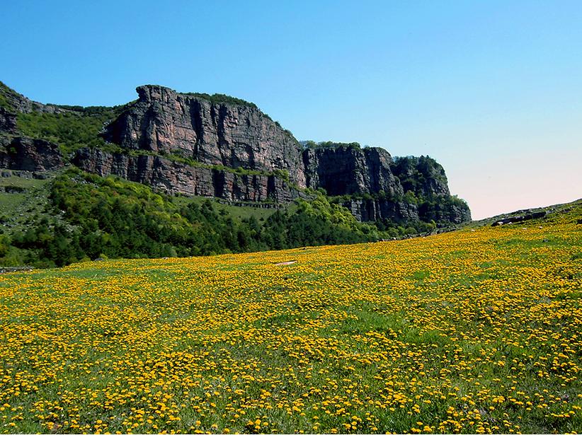 历山舜王坪