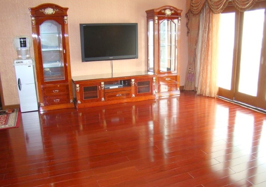 熊猫体育手机版下载飘泊地球最新资讯-速科技--科技变化将来