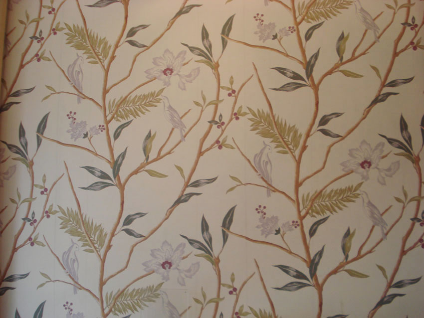 欧雅壁纸_网上逛街_东兴信息网