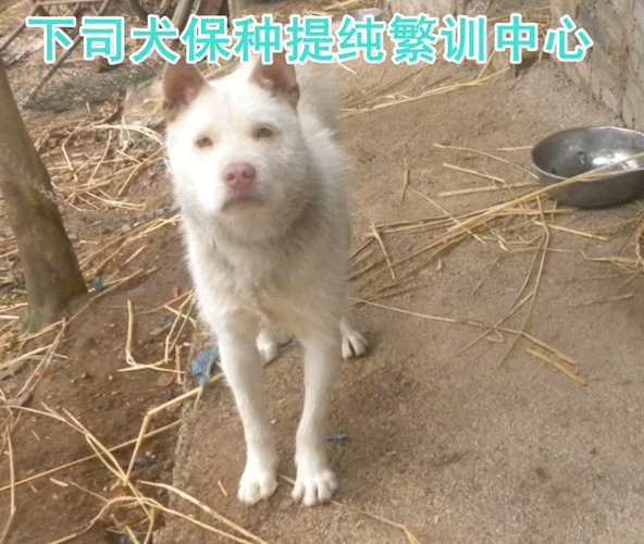 20111221135805816.jpg