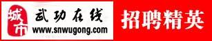 城市武功在线
