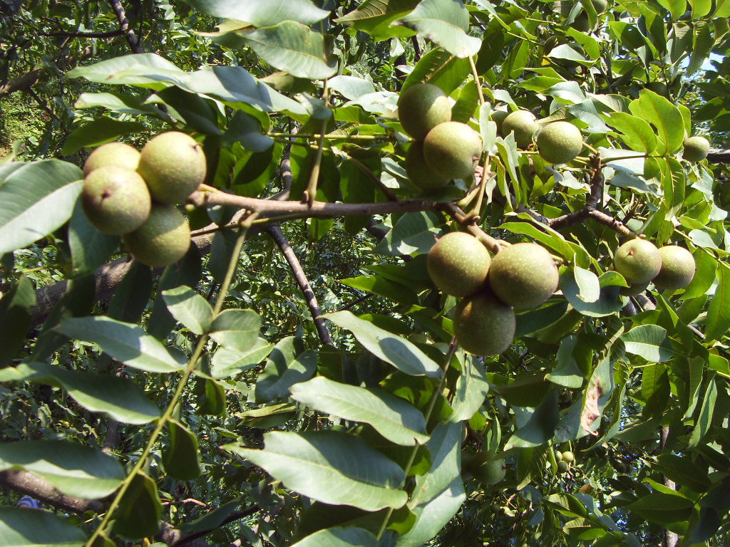 201132818362835.jpg