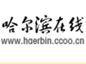 高级黄页