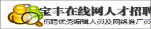 宝丰在线网