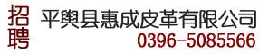 平舆县惠成皮革有限公司