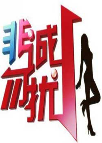 收入证明_非诚勿扰 广告收入
