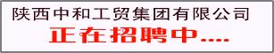 陕西中和工贸集团有限公司