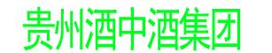 贵州酒中酒集团