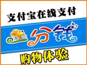 һ��Ǯ����֧������
