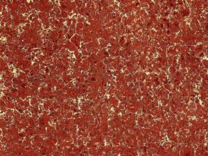 ������ʯ��HFPGQ8009
